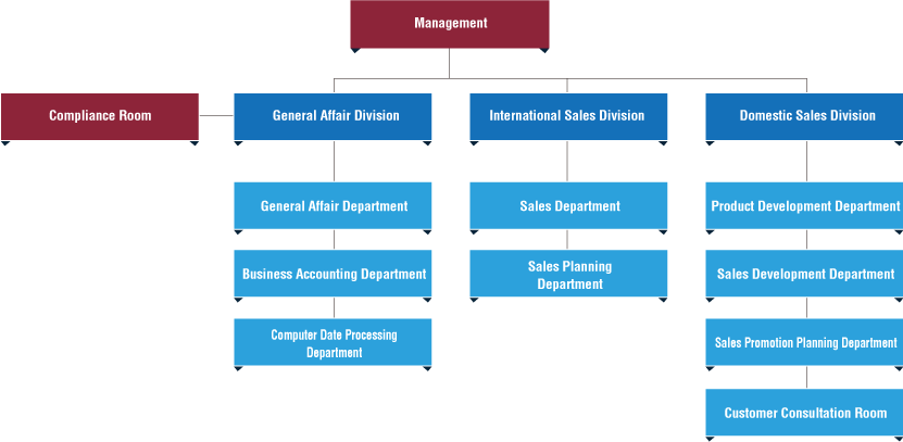 Sales Company Organizational Chart